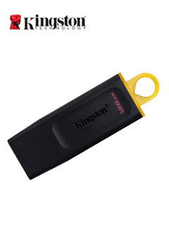 USB KINGSTON DTX/128GB 3.2