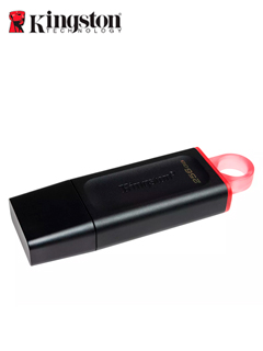 USB KINGSTON DTX/256GB 3.2