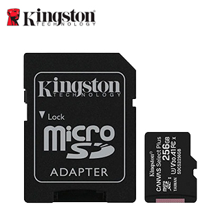 acktsdcs2256gb