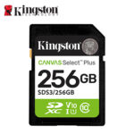 SD KING CANVAS SELECT + 256GB