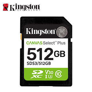 SD KING CANVAS SELECT + 512GB