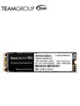 SSD 256G TG MS30 M.2 SATA III