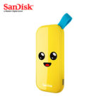 ssdsdssde301t00