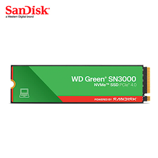 SSD WD GREEN SN3000 1TB NVME