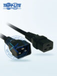 actlp036006